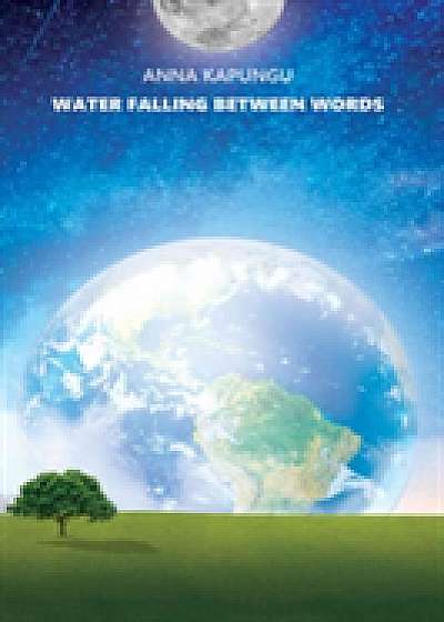 Coperta cărții Water Falling Between Words