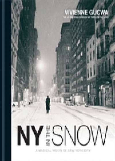 Coperta cărții New York In The Snow