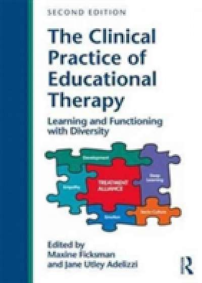 Coperta cărții The Clinical Practice of Educational Therapy