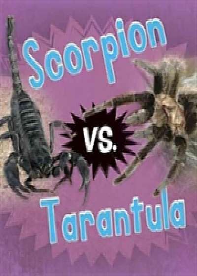 Scorpion vs. Tarantula