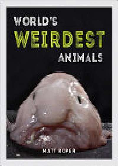 World's Weirdest Animals