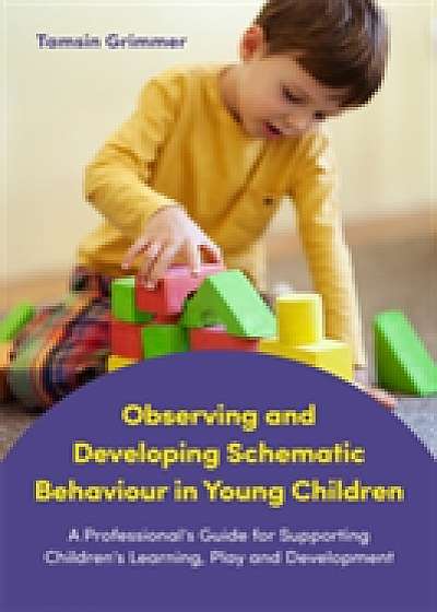 Coperta cărții Observing and Developing Schematic Behaviour in Young Children