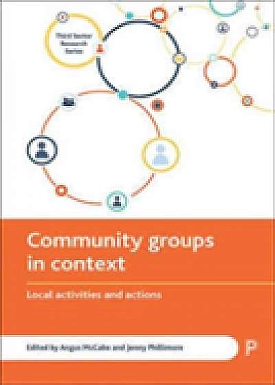 Coperta cărții Community groups in context