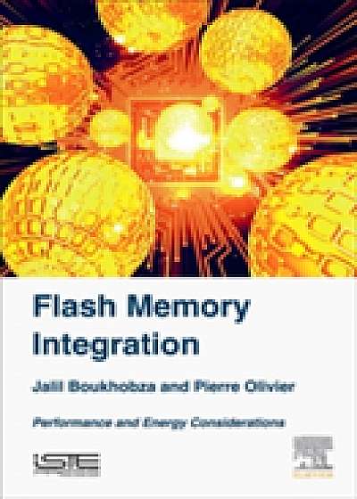 Coperta cărții Flash Memory Integration