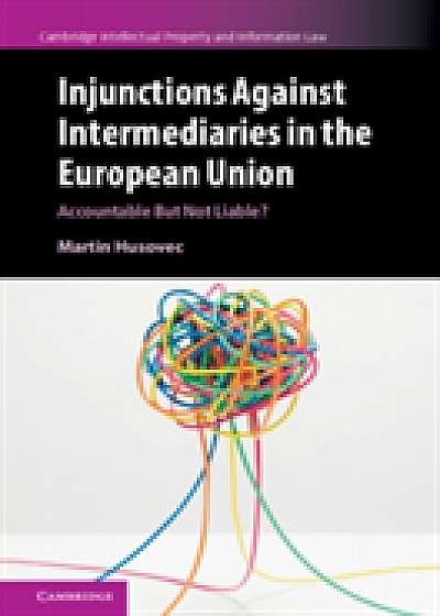 Coperta cărții Injunctions Against Intermediaries in the European Union de Martin Husovec