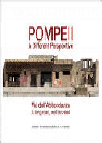 Pompeii: a Different Perspective