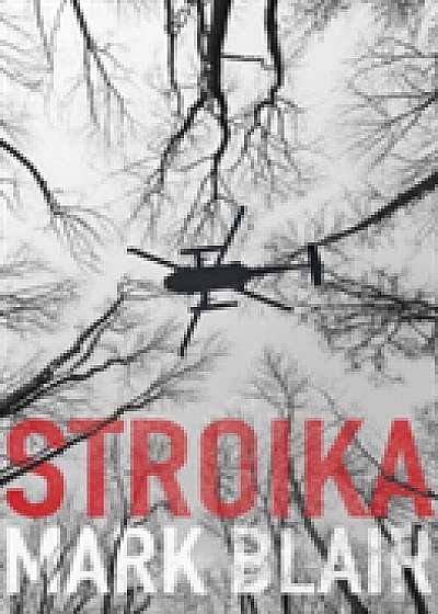 Coperta cărții Stroika de Mark Blair
