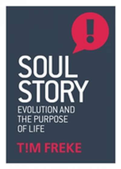 Coperta cărții Soul Story