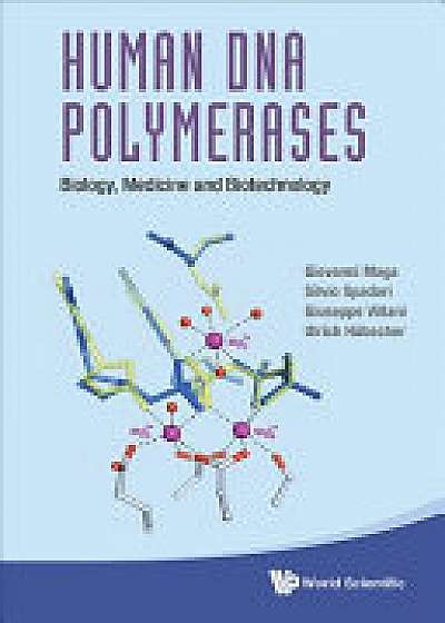 Coperta cărții Human Dna Polymerases: Biology, Medicine And Biotechnology
