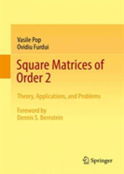 Square Matrices of Order 2