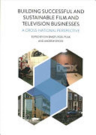 Building Successful and Sustainable Film and Television Businesses