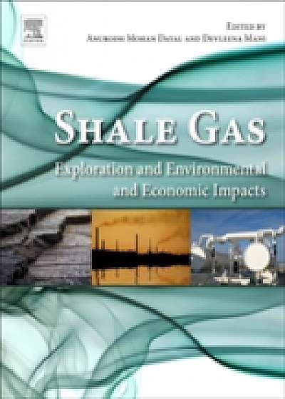 Coperta cărții Shale Gas