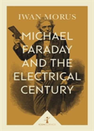 Michael Faraday and the Electrical Century (Icon Science)