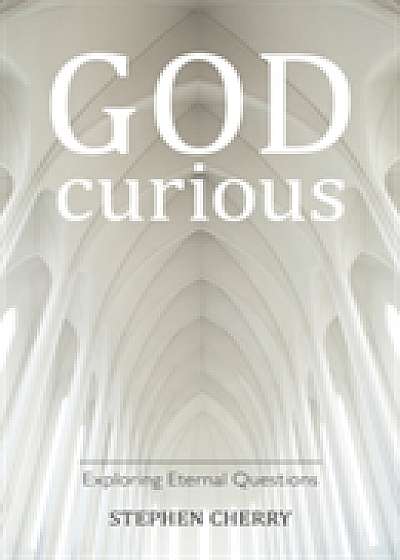 Coperta cărții God-Curious de Stephen Cherry