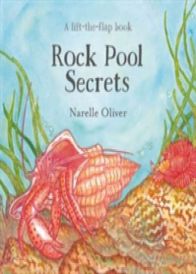 Coperta cărții Rock Pool Secrets de Narelle Oliver