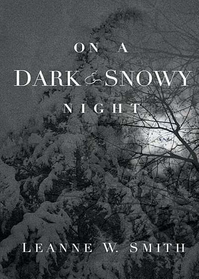 On a Dark & Snowy Night, Paperback