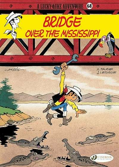 Bridge Over the Mississippi, Paperback