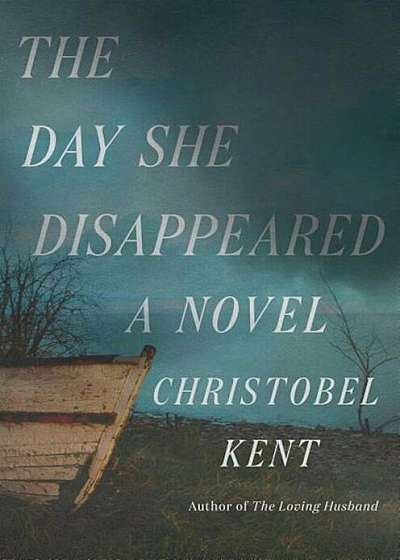 The Day She Disappeared, Hardcover