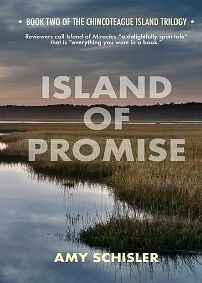 Island of Promise, Paperback