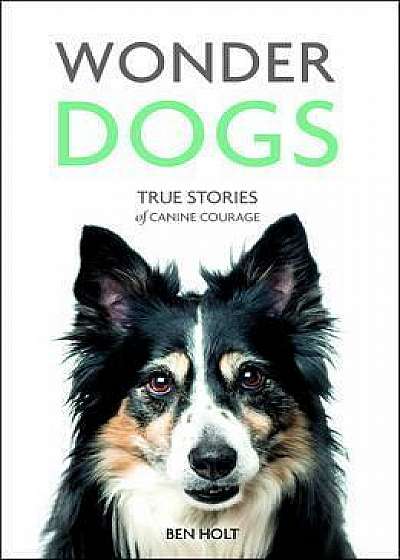 Wonder Dogs - true Stories of Canine Courage