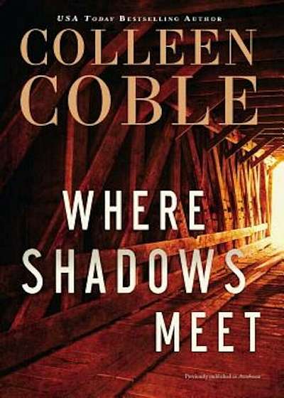 Where Shadows Meet: A Romantic Suspense Novel, Paperback