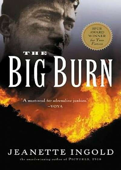 The Big Burn, Paperback