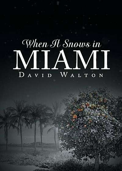 When It Snows in Miami, Paperback