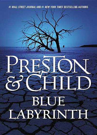 Blue Labyrinth, Hardcover