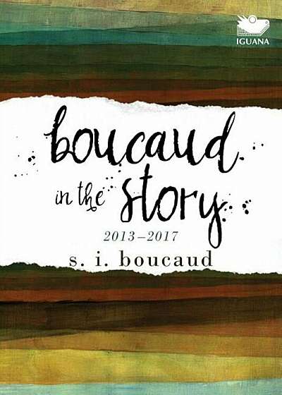 Boucaud in the Story: 2013-2017, Paperback