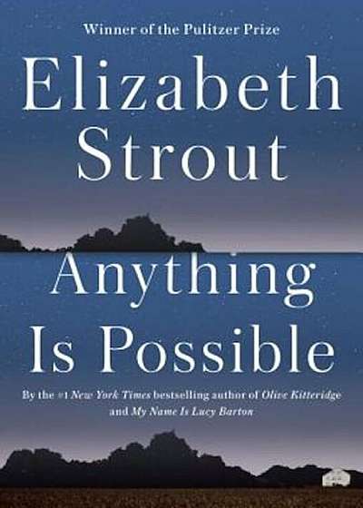 Anything Is Possible, Hardcover