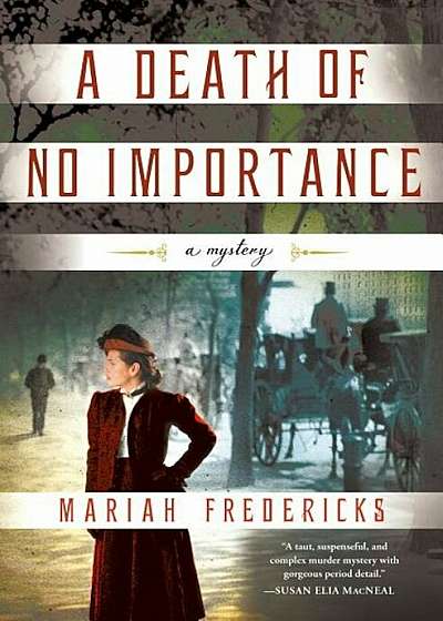 A Death of No Importance: A Mystery, Hardcover