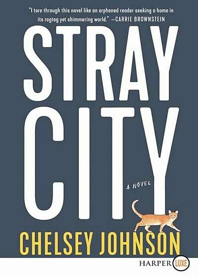 Stray City, Paperback