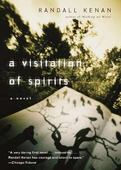A Visitation of Spirits, Paperback