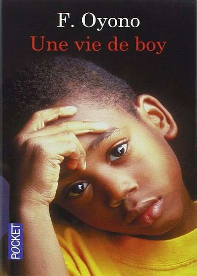 Une Vie de Boy, Paperback