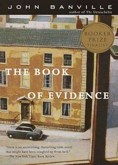 The Book of Evidence, Paperback