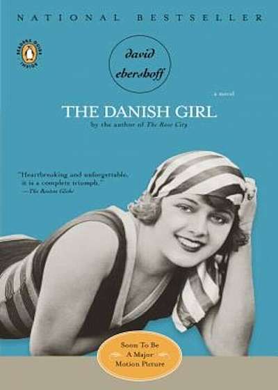The Danish Girl, Paperback