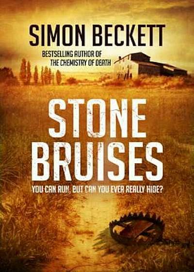 Stone Bruises, Paperback