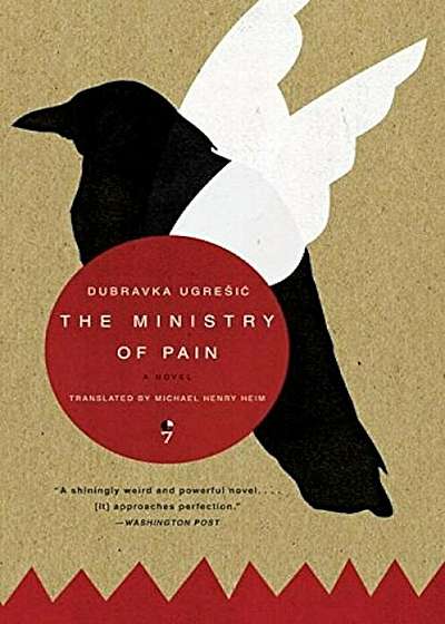 The Ministry of Pain, Paperback