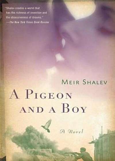 A Pigeon and a Boy, Paperback