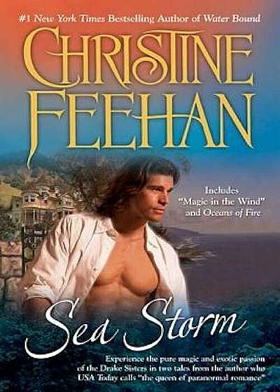 Sea Storm, Paperback