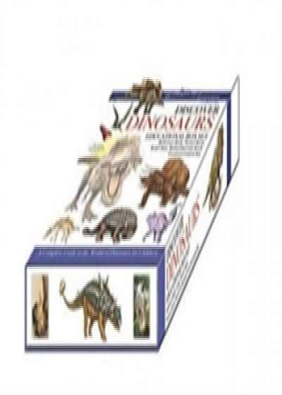 Discover Dinosaurs - Educational Box Set