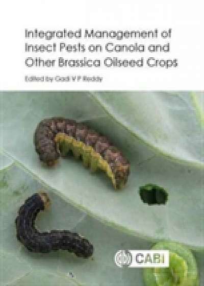 Integrated Management of Insect Pests on Canola and Other Brassica Oilseed Crop