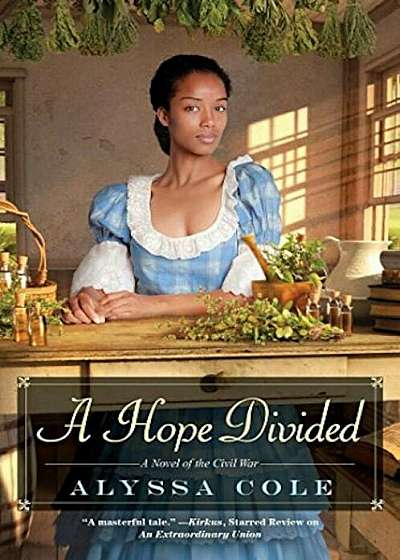 A Hope Divided, Hardcover