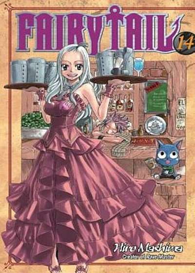 Fairy Tail V14, Paperback