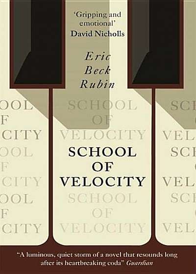 School of Velocity, Paperback