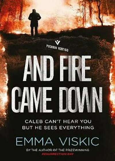 And Fire Came Down, Paperback