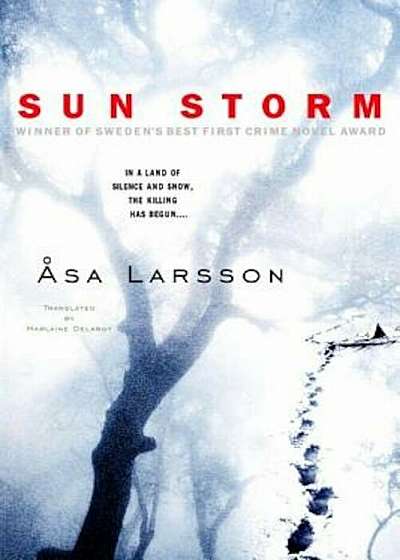 Sun Storm, Paperback