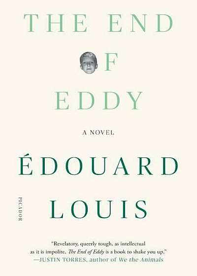 The End of Eddy, Paperback