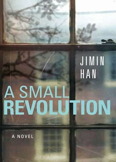 A Small Revolution, Paperback