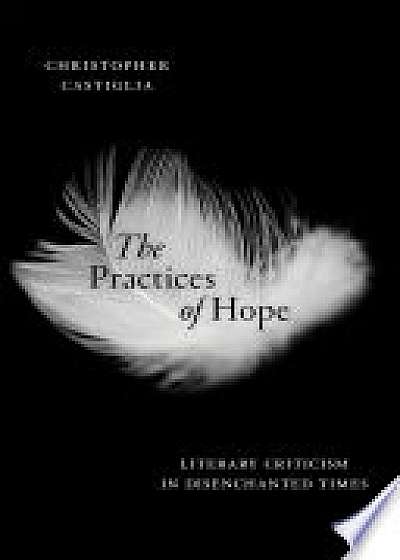 Coperta cărții The Practices of Hope de Christopher Castiglia